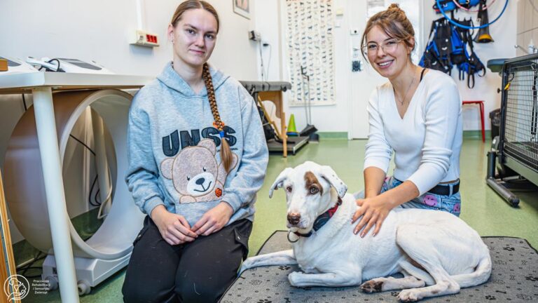 Pracownicy pracowni pozują do zdjęcia w gabinecie z psem.