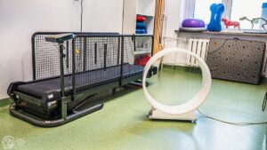 Bieżnia sucha od boku oraz stojący obok sprzęt do magnetoterapii.